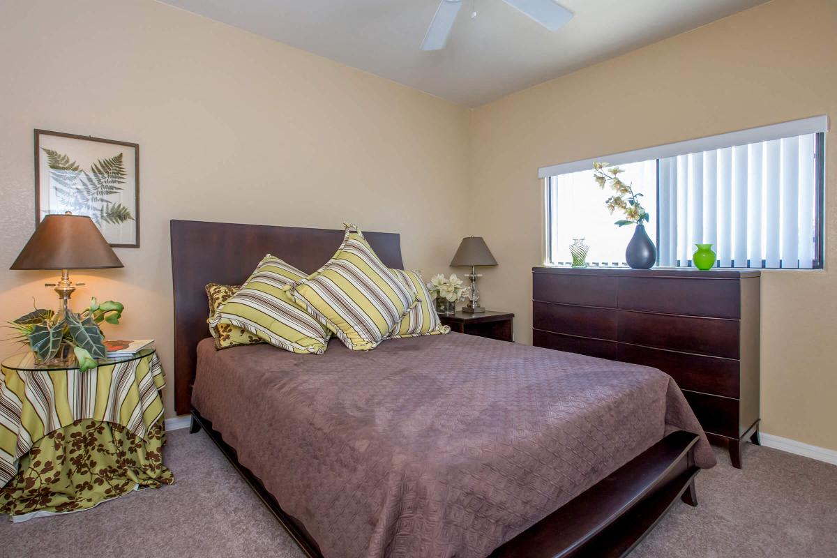 Sereno Townhomes photo 3